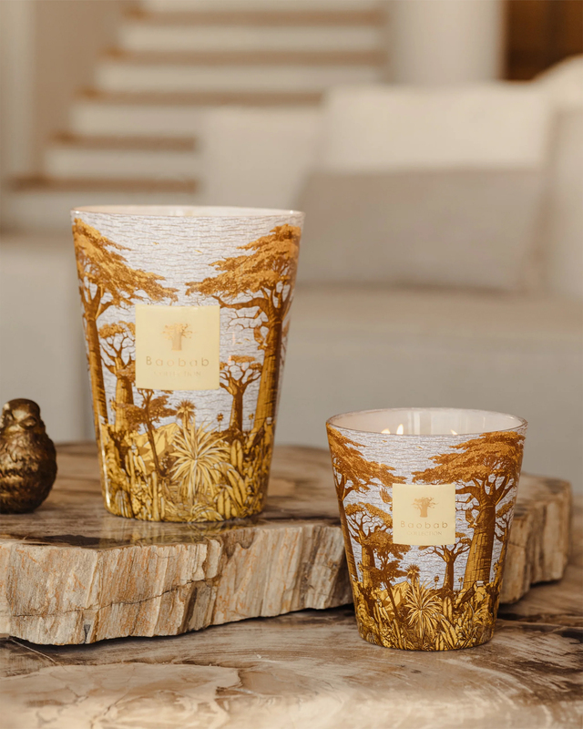 Baobab Candle Max 10 Sacred Trees Cocody Gold ONESIZE