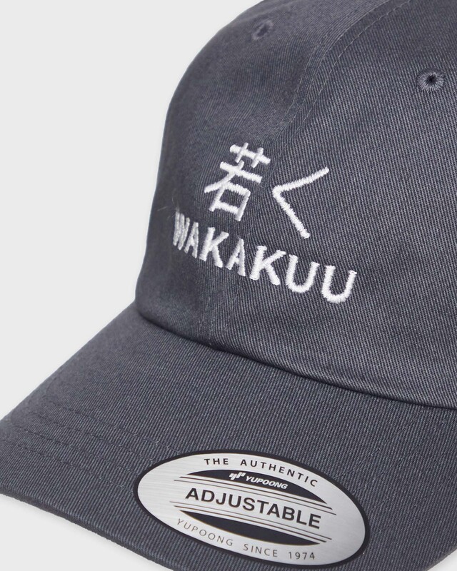 Wakakuu Cap Low Profile Mörkgrå ONESIZE