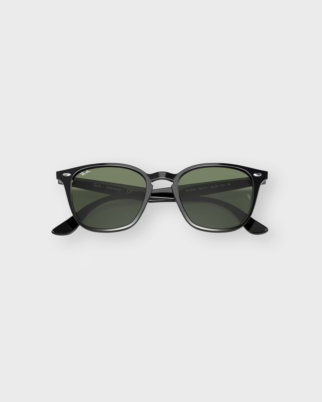 Ray-Ban Sunglasses RB4258 Black ONESIZE