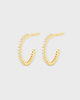 CBYC Earrings Mini Hoops Gold - 12 mm Guld ONESIZE