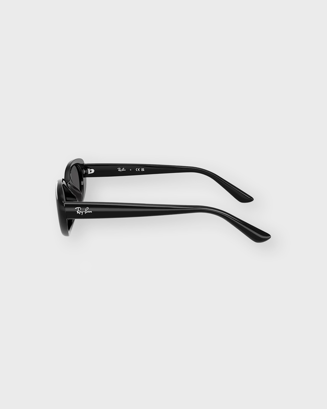 Ray-Ban Sunglasses RB4441D Bio-Based Black ONESIZE