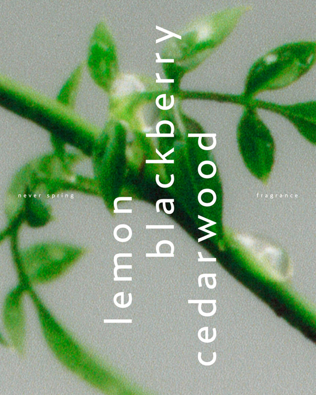 Björk and Berries  Eau de Parfum Never Spring Transparent ONESIZE