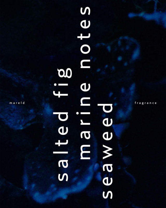 Björk and Berries  Eau du Parfum Mareld Transparent ONESIZE