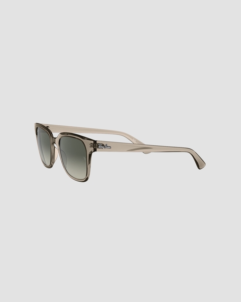 Sunglasses B4324 Grey 2