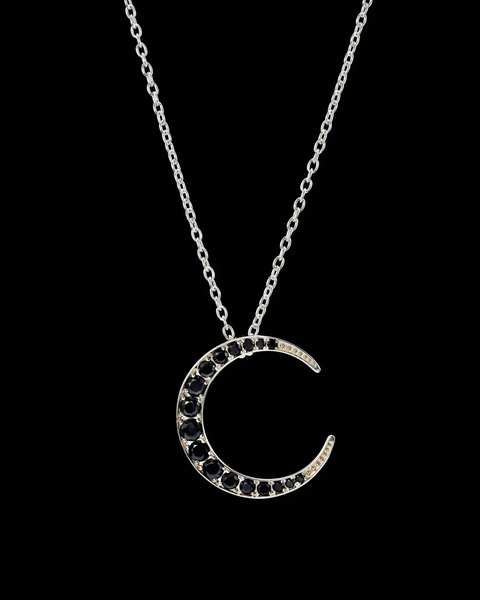 Necklace Crescent Moon  Silver ONESIZE 1