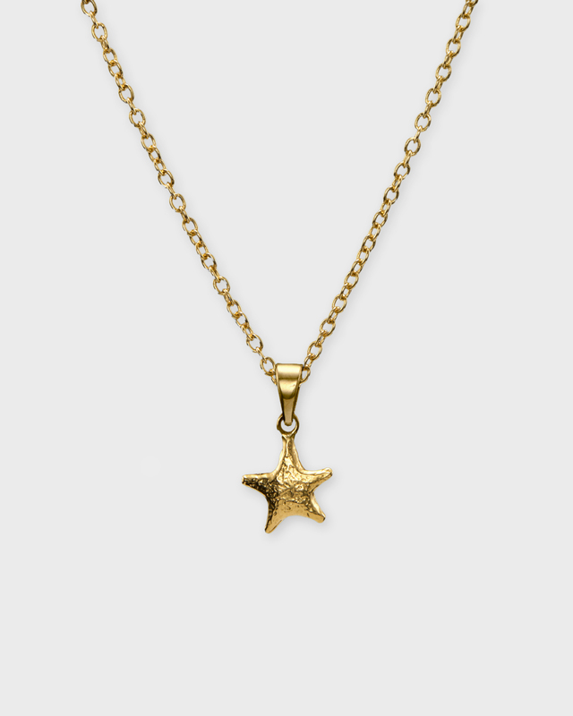Maria Nilsdotter Necklace Tiny Tuvstarrs Star Gold ONESIZE