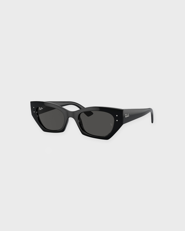 Ray-Ban Solglasögon Zena 52 Svart ONESIZE