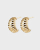 CBYC Örhängen Ribbed Medium Guld ONESIZE