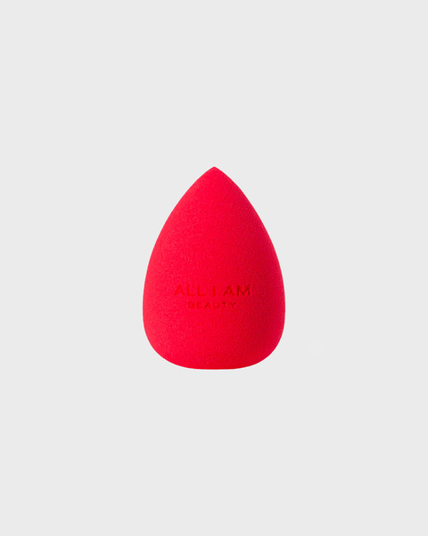 Blending Sponge ONESIZE 1