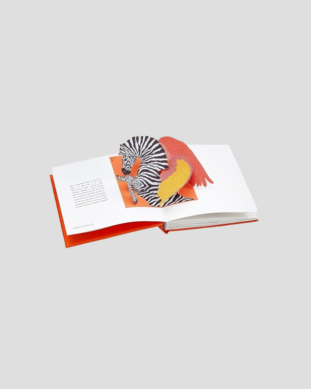 New Mags Bok Hermès pop-up Orange ONESIZE