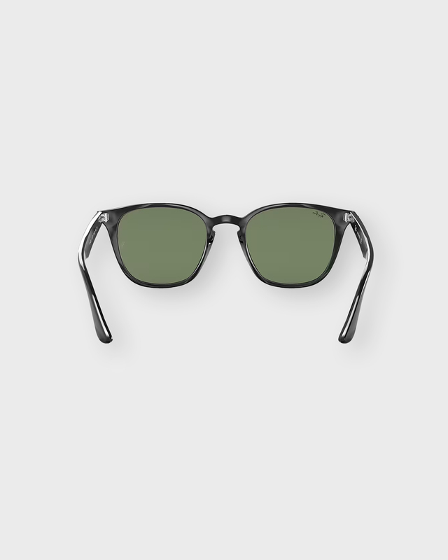 Ray-Ban Sunglasses RB4258 Black ONESIZE