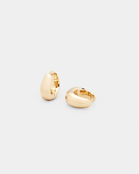 Earring Ice Hoop Small Gold Gold 1
