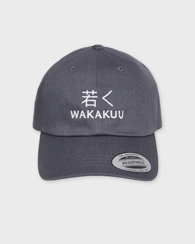 Wakakuu Cap Low Profile Mörkgrå ONESIZE