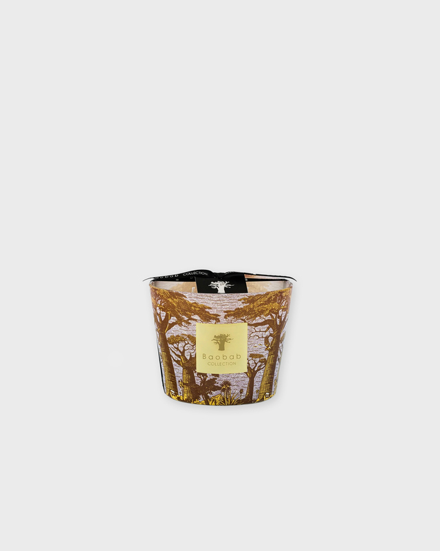 Baobab Candle Max 10 Sacred Trees Cocody Gold ONESIZE