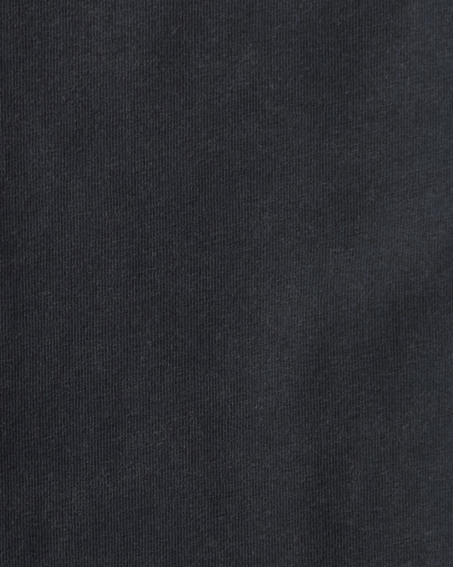 Anine Bing T-Shirt Cade Tee Tiger Bing Washed Black S