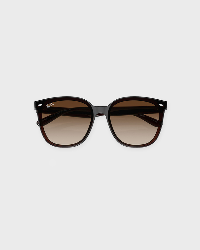 Ray-Ban Sunglasses 0RB4423D Ljusbrun ONESIZE