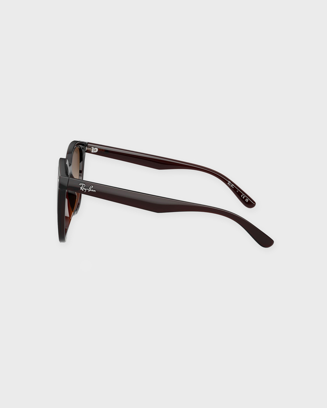 Ray-Ban Sunglasses 0RB4423D Ljusbrun ONESIZE