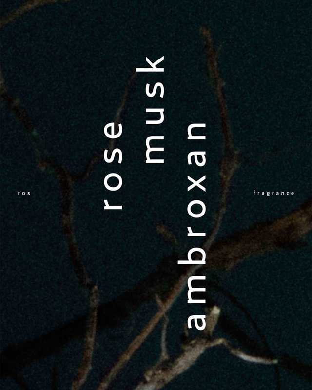 Björk and Berries  Eau de Parfum Ros Transparent ONESIZE