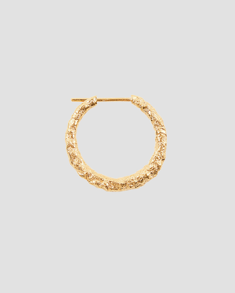 Earring Big Hoop  Guld ONESIZE 1