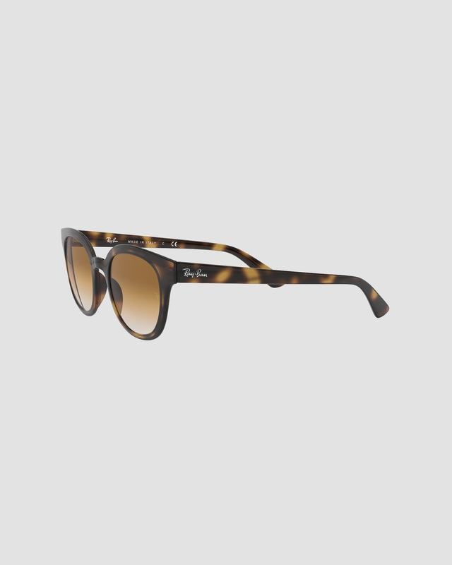 Ray-Ban Sunglasses B4324 Brown ONESIZE