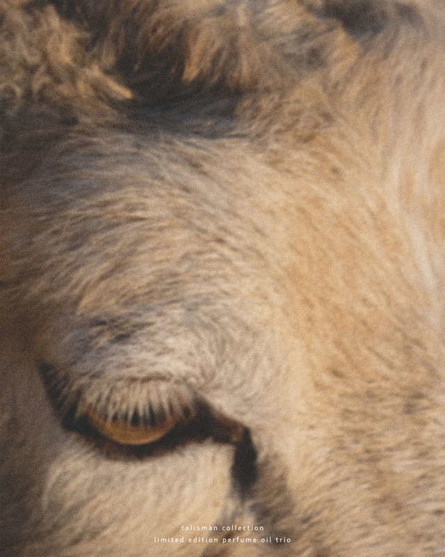 Björk and Berries  Perfume Oil Nomad Transparent ONESIZE