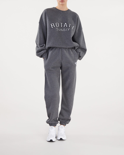 Crewneck Iris Logo Grey melange 2