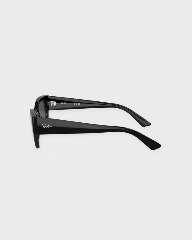 Ray-Ban Solglasögon Zena 52 Svart ONESIZE