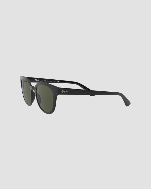 Ray-Ban Sunglasses B4324 Black ONESIZE
