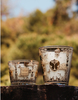 Baobab Candle Tomorrowland 2025 Transparent ONESIZE