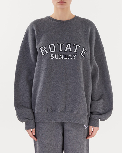 Crewneck Iris Logo Grey melange 1