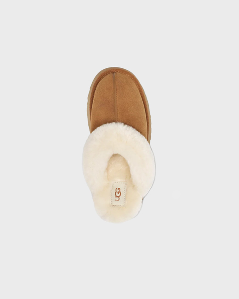 Slippers W Disquette Chestnut 2