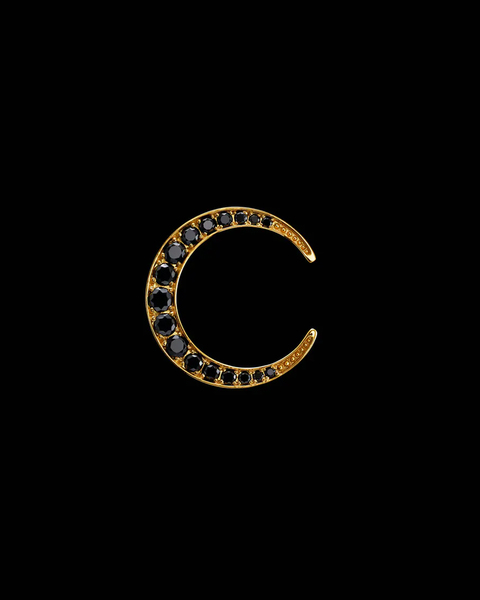 Earring Crescent Moon  Gold 1