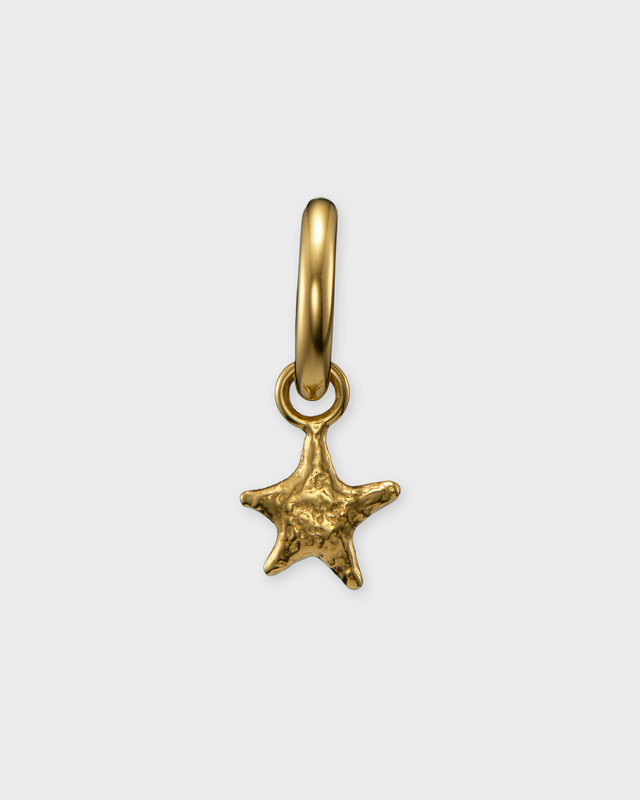 Maria Nilsdotter Earring Tiny Tuvstarrs Star Guld ONESIZE
