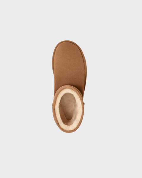 Boots Classic Short  Chestnut 2