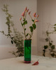 Paul Smith  Diffuser Botanist Lila ONESIZE
