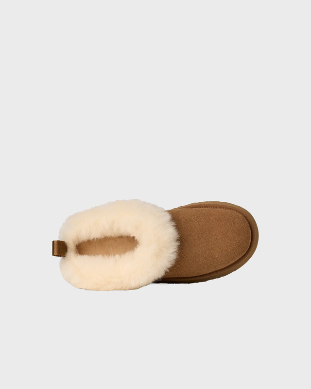 UGG W Tazzelle Boots  Chestnut US 5 (EUR 36)