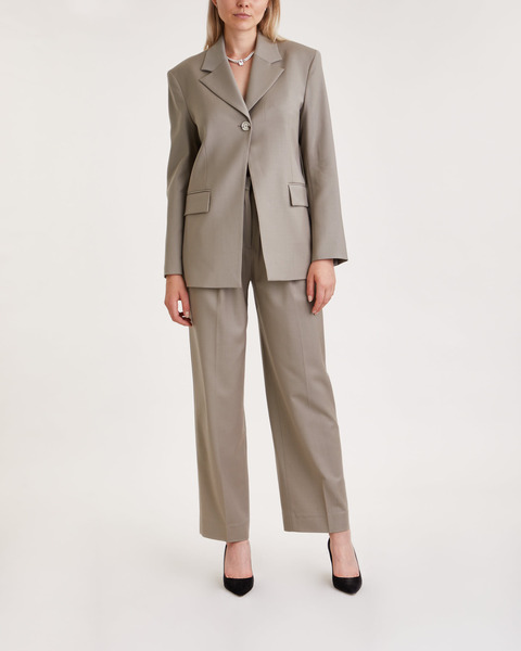 Blazer Single Button Stone 1