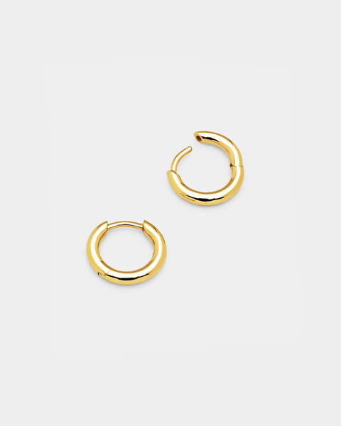 Earrings Classic Hoop Small Gold Gold 1