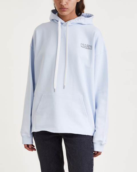 Sweatshirt Hoodie Logo Blue Grå 1