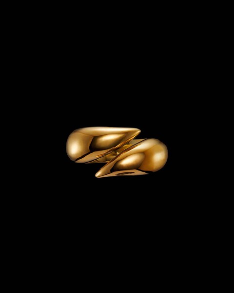 Iron Claw Ring Guld Gold 1